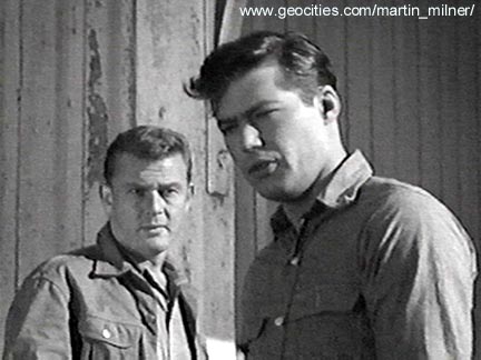 Martin Milner Archives: Route 66